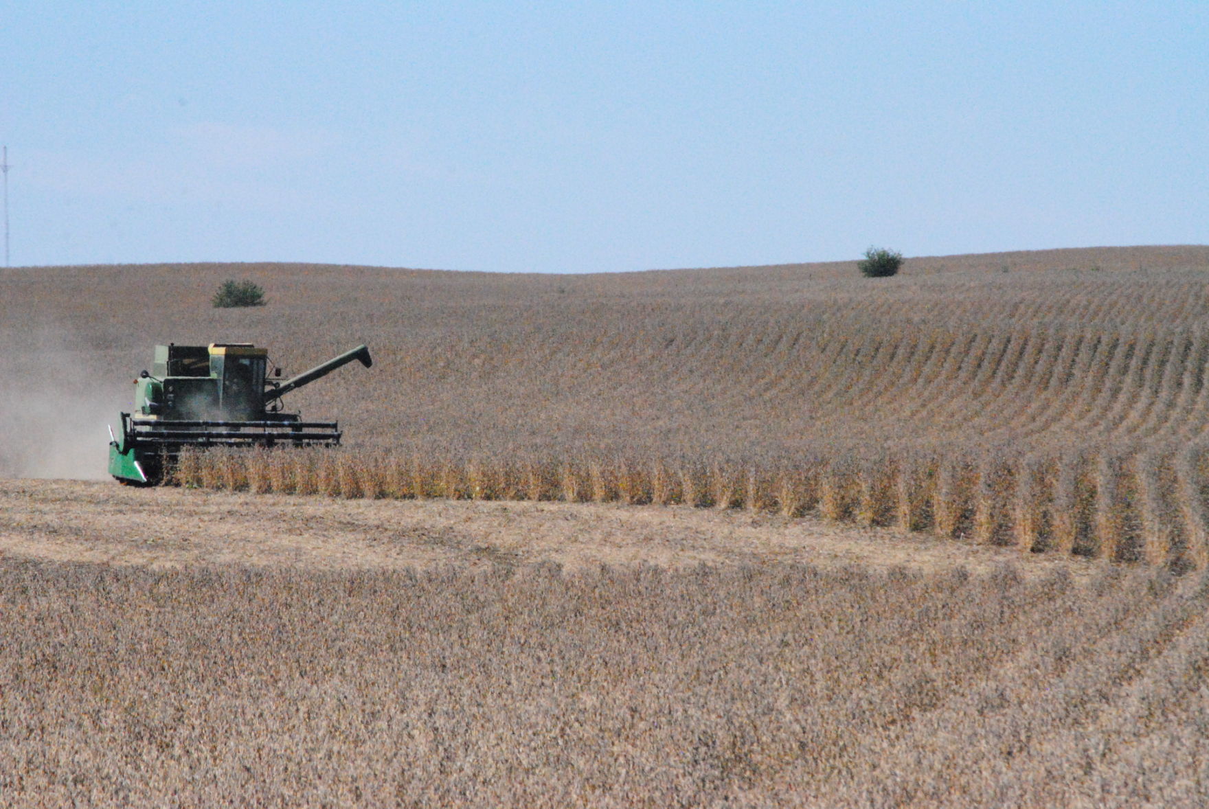 Harvest